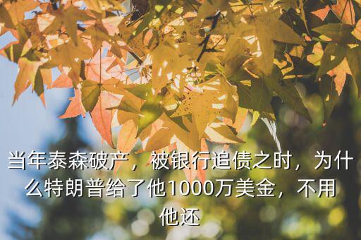 當(dāng)年泰森破產(chǎn)，被銀行追債之時，為什么特朗普給了他1000萬美金，不用他還