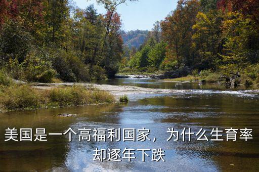 美國是一個(gè)高福利國家，為什么生育率卻逐年下跌