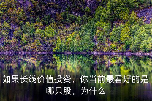 如果長線價值投資，你當(dāng)前最看好的是哪只股，為什么