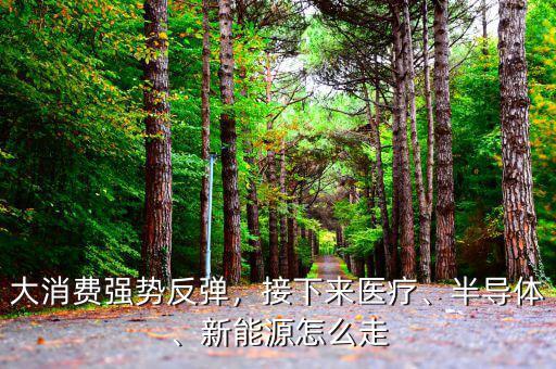 大消費強勢反彈，接下來醫(yī)療、半導體、新能源怎么走