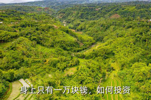 身上只有一萬塊錢，如何投資