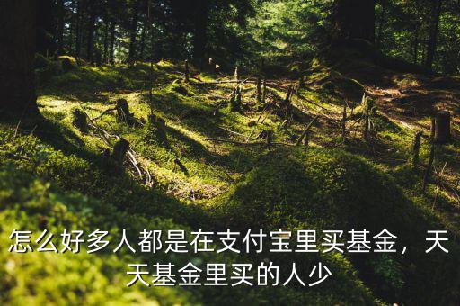 怎么好多人都是在支付寶里買基金，天天基金里買的人少