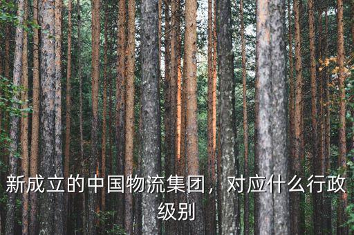 新成立的中國(guó)物流集團(tuán)，對(duì)應(yīng)什么行政級(jí)別