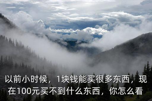 以前小時候，1塊錢能買很多東西，現(xiàn)在100元買不到什么東西，你怎么看