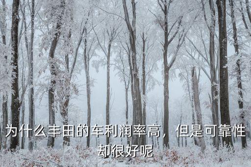 為什么豐田的車利潤率高，但是可靠性卻很好呢