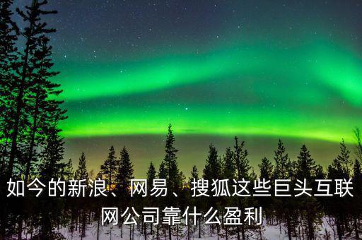 如今的新浪、網(wǎng)易、搜狐這些巨頭互聯(lián)網(wǎng)公司靠什么盈利