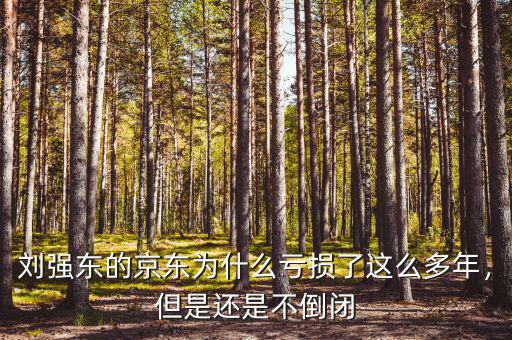 劉強(qiáng)東的京東為什么虧損了這么多年，但是還是不倒閉
