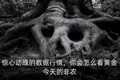 驚心動(dòng)魄的數(shù)據(jù)行情，你會(huì)怎么看黃金今天的非農(nóng)
