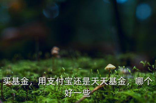 買基金，用支付寶還是天天基金，哪個(gè)好一些