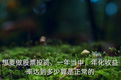 想要做股票投資，一年當(dāng)中，年化收益率達(dá)到多少算是正常的