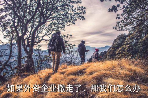 如果外資企業(yè)撤走了，那我們怎么辦