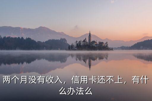 兩個月沒有收入，信用卡還不上，有什么辦法么
