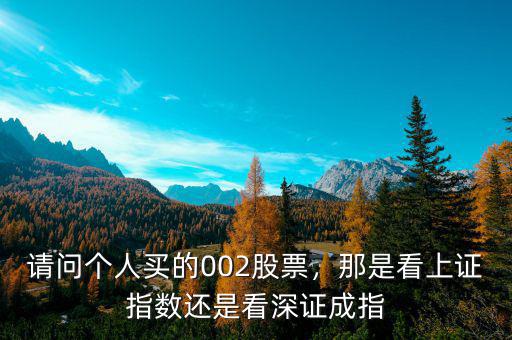 深證成指什么買(mǎi)入,還可以買(mǎi)深證成指嗎