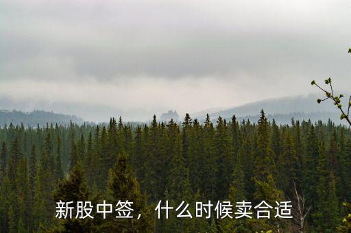 新股中簽，什么時(shí)候賣合適