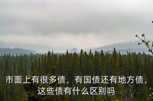 市面上有很多債，有國債還有地方債，這些債有什么區(qū)別嗎