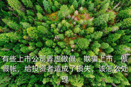 有些上市公司弄虛做假，欺騙上市，做假帳，給投資者造成了損失，該怎么處理