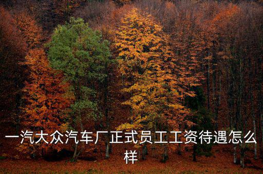 一汽大眾汽車(chē)廠正式員工工資待遇怎么樣