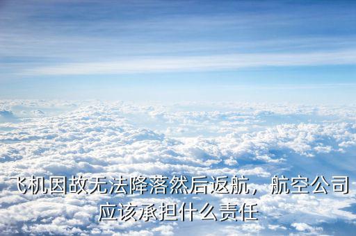 飛機因故無法降落然后返航，航空公司應(yīng)該承擔什么責任
