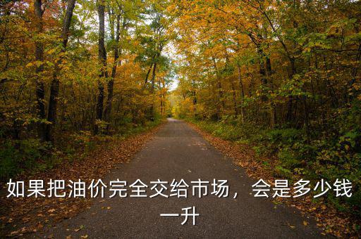 如果把油價(jià)完全交給市場(chǎng)，會(huì)是多少錢一升