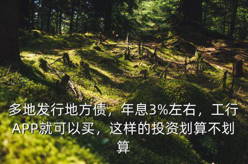 多地發(fā)行地方債，年息3%左右，工行APP就可以買，這樣的投資劃算不劃算