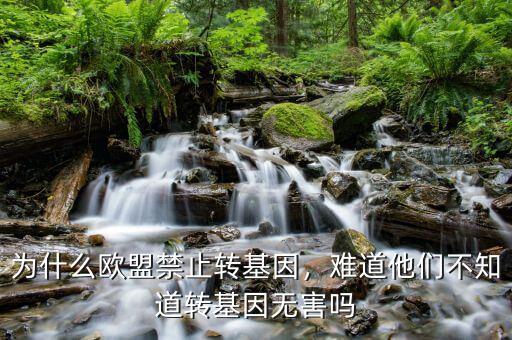 為什么歐盟禁止轉基因，難道他們不知道轉基因無害嗎