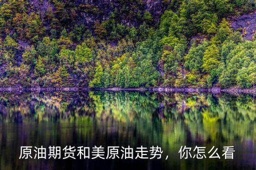 原油期貨和美原油走勢，你怎么看