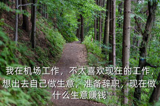 我在機(jī)場(chǎng)工作，不太喜歡現(xiàn)在的工作，想出去自己做生意，準(zhǔn)備辭職，現(xiàn)在做什么生意賺錢(qián)