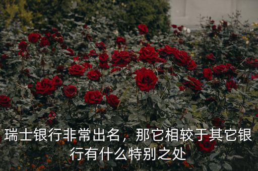 瑞士銀行非常出名，那它相較于其它銀行有什么特別之處