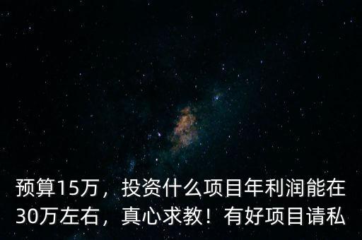 預(yù)算15萬，投資什么項目年利潤能在30萬左右，真心求教！有好項目請私