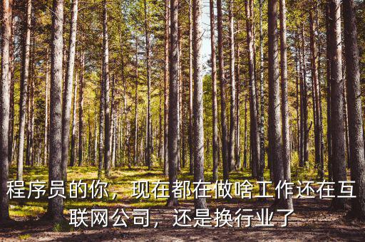 程序員的你，現(xiàn)在都在做啥工作還在互聯(lián)網(wǎng)公司，還是換行業(yè)了