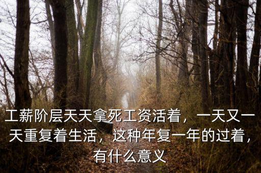 工薪階層天天拿死工資活著，一天又一天重復(fù)著生活，這種年復(fù)一年的過著，有什么意義