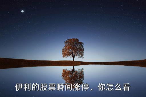 伊利的股票瞬間漲停，你怎么看