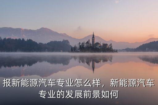 理昂新能源怎么樣,吉利的新能源技術怎么樣