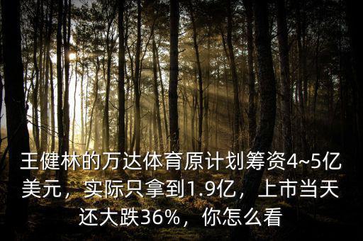 王健林的萬達體育原計劃籌資4~5億美元，實際只拿到1.9億，上市當天還大跌36%，你怎么看