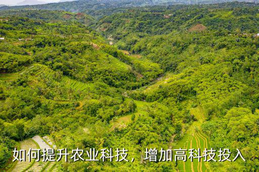 為什么要加大農(nóng)業(yè)的科技投入,增加高科技投入