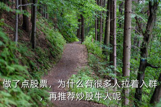 做了點股票，為什么有很多人拉著入群，再推薦炒股牛人呢