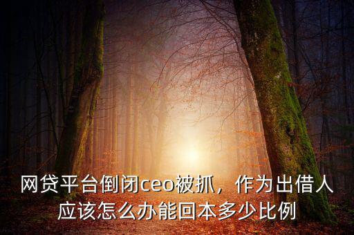 網(wǎng)貸平臺倒閉ceo被抓，作為出借人應(yīng)該怎么辦能回本多少比例
