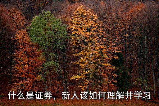 什么是證券，新人該如何理解并學(xué)習(xí)