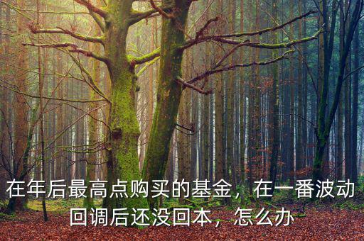 在年后最高點購買的基金，在一番波動回調(diào)后還沒回本，怎么辦