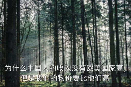 為什么中國人的收入沒有歐美國家高，但是我們的物價(jià)要比他們高