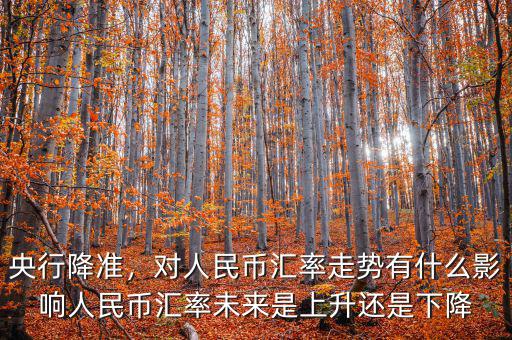 央行降準(zhǔn)，對(duì)人民幣匯率走勢(shì)有什么影響人民幣匯率未來(lái)是上升還是下降