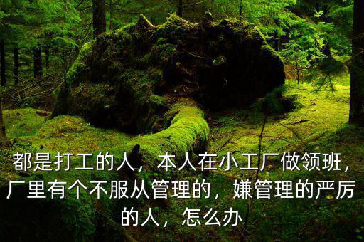 都是打工的人，本人在小工廠做領(lǐng)班，廠里有個不服從管理的，嫌管理的嚴(yán)厲的人，怎么辦