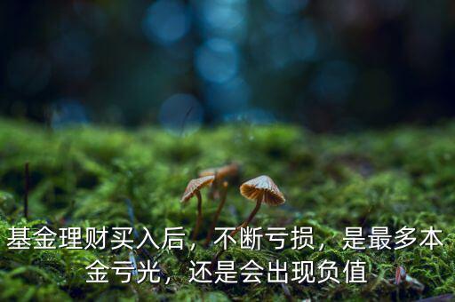 基金理財(cái)買入后，不斷虧損，是最多本金虧光，還是會(huì)出現(xiàn)負(fù)值