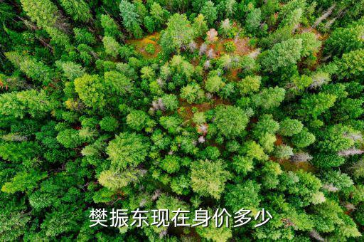 紀(jì)學(xué)鋒身價(jià)多少,陳夢(mèng)現(xiàn)在身價(jià)多少