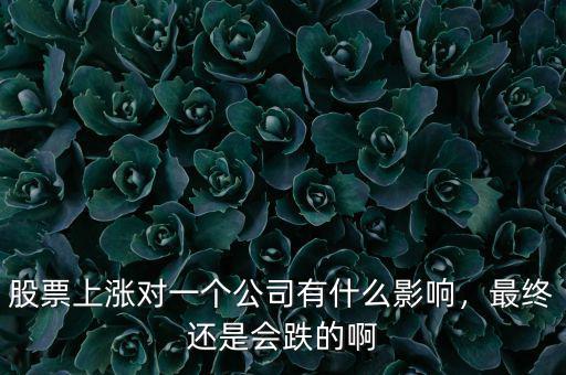 股票上漲對(duì)一個(gè)公司有什么影響，最終還是會(huì)跌的啊