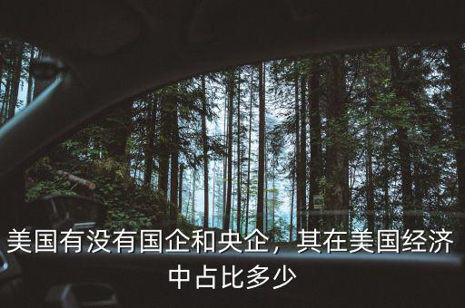 美國有沒有國企和央企，其在美國經(jīng)濟(jì)中占比多少