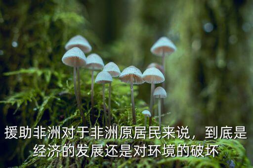 援助非洲對于非洲原居民來說，到底是經(jīng)濟(jì)的發(fā)展還是對環(huán)境的破壞