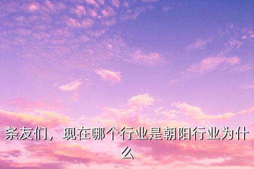 現(xiàn)在朝陽(yáng)行業(yè)是什么,現(xiàn)在在我國(guó)還處于朝陽(yáng)行業(yè)