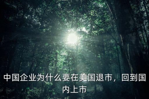 中國(guó)企業(yè)為什么要在美國(guó)退市，回到國(guó)內(nèi)上市