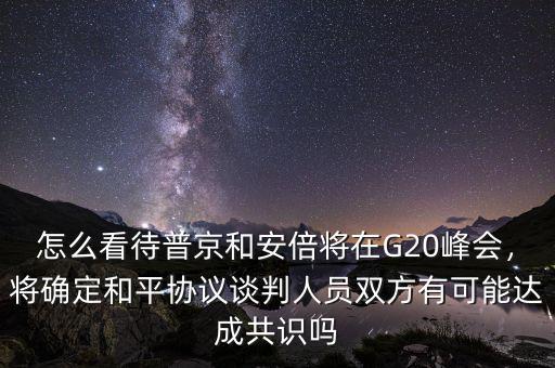 怎么看待普京和安倍將在G20峰會(huì)，將確定和平協(xié)議談判人員雙方有可能達(dá)成共識嗎